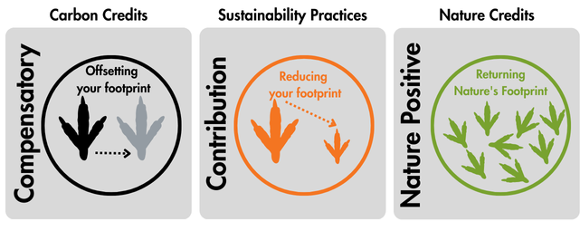 Biocredita Collateral (1)