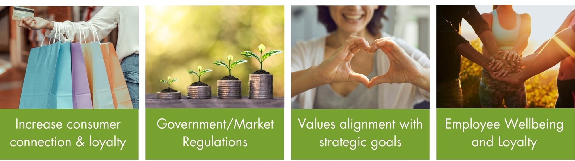 Untitled design (2)a