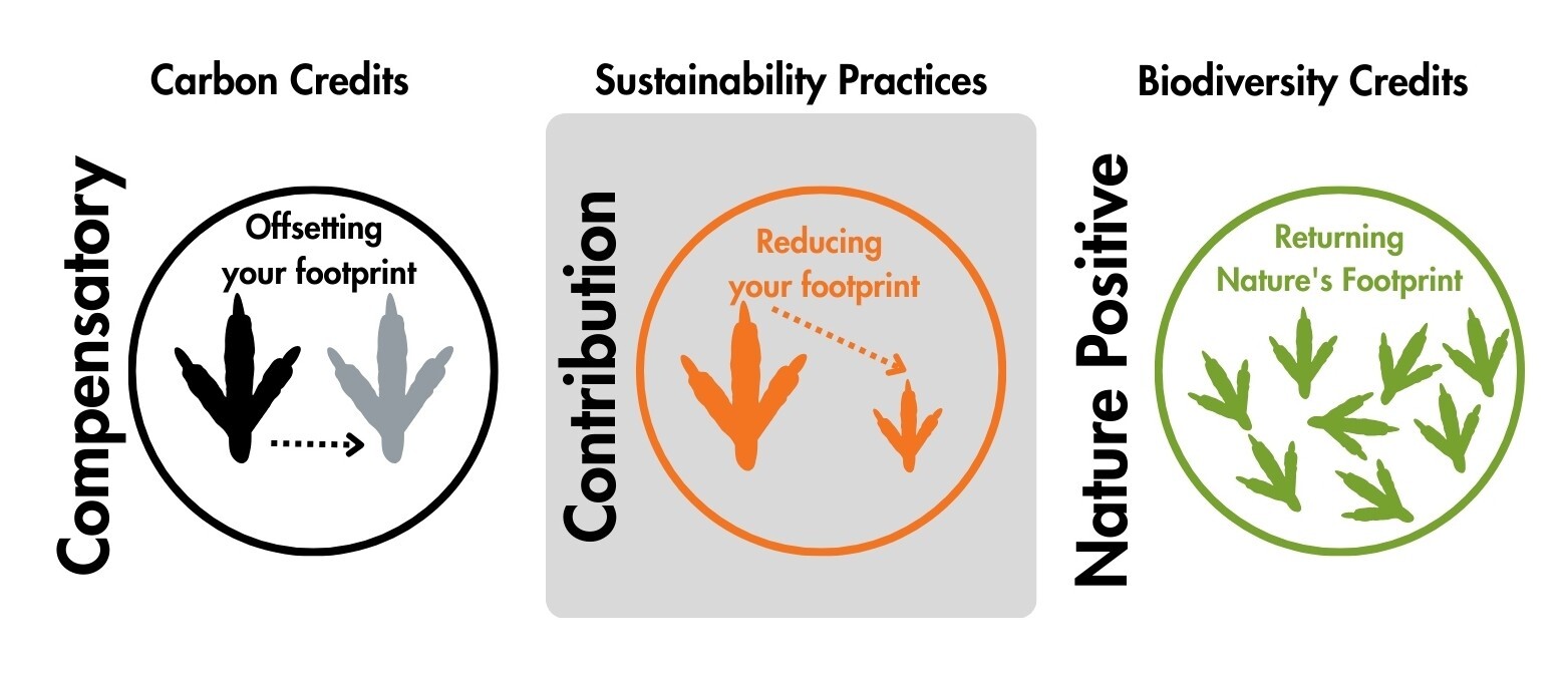 Untitled designa Untitled designa